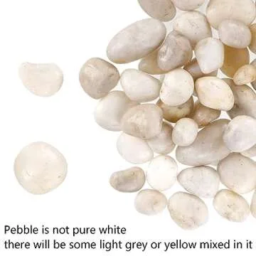 Nicunom 6lbs Natural White Pebbles for Garden and Aquariums