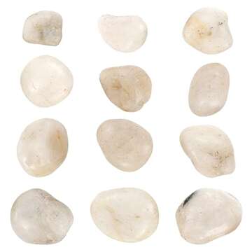 Nicunom 6lbs Natural Decorative White Pebbles, 1/2-1 1/4 Inch Polished River Rocks Stones for Fish Tank Aquariums Vase Fillers Landscaping Garden Outdoor and Indoor DIY