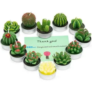 Handmade Succulent Cactus Candles for Home & Events