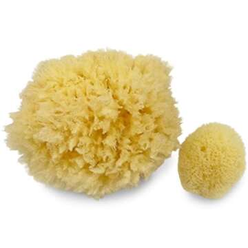 Real Sea Sponges for Babies - 2 Pk Bath Care Set, Gentle, Kind on Skin, for Bathing Washing Body Eye...