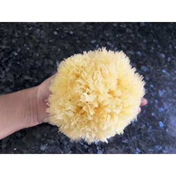 Real Sea Sponges for Babies - 2 Pk Bath Care Set, Gentle, Kind on Skin, for Bathing Washing Body Eyes & Ears, Also for Newborn Toddler & Kids; Baby Shower Spa Gift by Contented Infant®