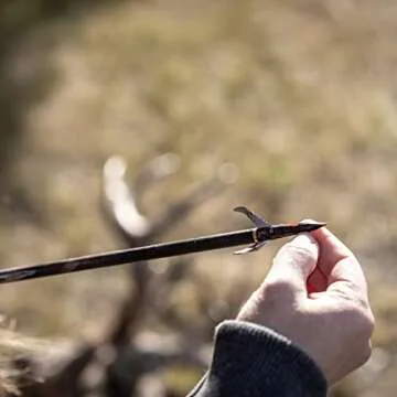 New Archery Products Spitfire Broadhead 1.5' Cut 3-Pack