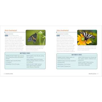 Butterflies for Kids: A Junior Scientist's Guide to the Butterfly Life Cycle and Beautiful Species to Discover