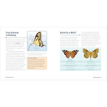 Butterflies for Kids: A Junior Scientist's Guide to the Butterfly Life Cycle and Beautiful Species to Discover