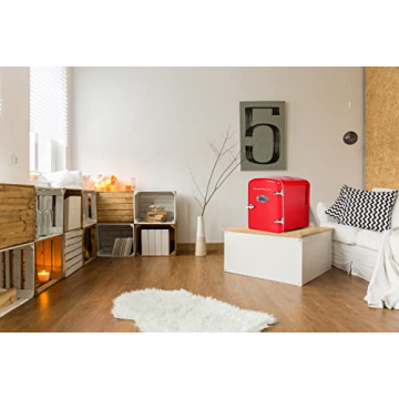 Frigidaire Portable Cooler for Home Office Skincare Drinks