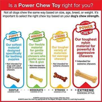 Nylabone Power Chew Toy - Durable & Flavorful for Small Dogs