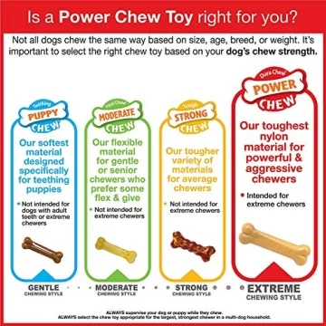 Nylabone Power Chew Toy - Durable & Flavorful for Small Dogs