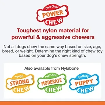 Nylabone Power Chew Toy - Durable & Flavorful for Small Dogs