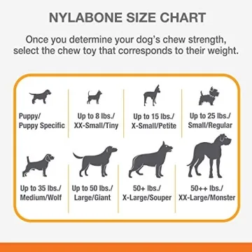 Nylabone Power Chew Toy - Durable & Flavorful for Small Dogs
