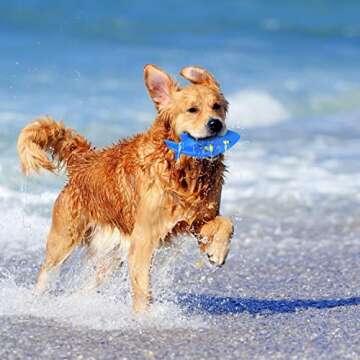 Nerf Dog Shark Football Dog Toy with Interactive Squeak and Crunch, Lightweight, Durable and Water R...