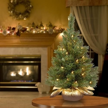 National Tree 2ft Pre-Lit Mini Christmas Tree for Holiday Decor