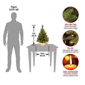 National Tree 2ft Pre-Lit Mini Christmas Tree for Holiday Decor
