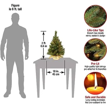 National Tree 2ft Pre-Lit Mini Christmas Tree for Holiday Decor