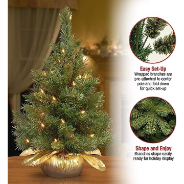 National Tree 2ft Pre-Lit Mini Christmas Tree for Holiday Decor