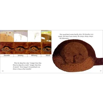 Animals in Winter Engaging Book for Young Readers