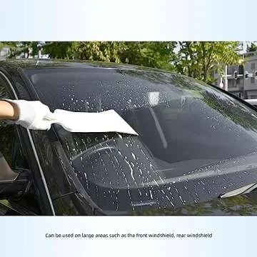EHDIS Bulldozer Squeegee for Snow Tint Removal