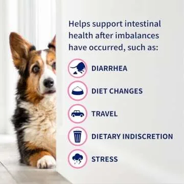 Proviable Digestive Health Supplement Kit with Multi-Strain Probiotics and Prebiotics for Medium to Large Dogs - with 7 Strains of Bacteria, 30 mL Paste and 10 Capsules