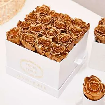 Venus et Fleur Small Square - The Original Preserved Roses in a Box That Last a Year - Black Gift Box, 16 Blush Roses