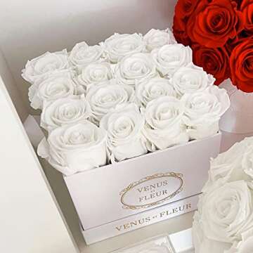 Venus et Fleur Small Square - The Original Preserved Roses in a Box That Last a Year - Black Gift Box, 16 Blush Roses