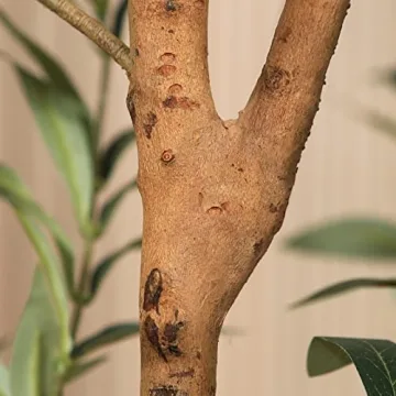 7FT Kazeila Artificial Olive Tree for Home Decor