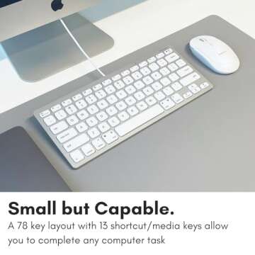 Macally Small USB C Keyboard - Plug & Play Compatible Wired Apple Keyboard for Mac Mini, MacBook Pro/Air, iMac, iPad, Windows, Chromebook with USBC Port - Compact & Mini USB Type C Keyboard - Silver