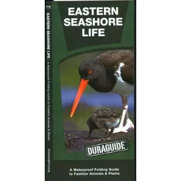 Eastern Seashore Life: A Folding Guide to Familiar Animals & Plants (Florida)