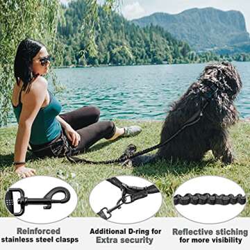 CHUNKY PAW Hands Free Dog Leash for Medium and Large Dogs - Durable Dual Handle Waist Leash with Reflective Bungee for Running, Walking, Training, Hiking (Grey, for 1 Dog)
