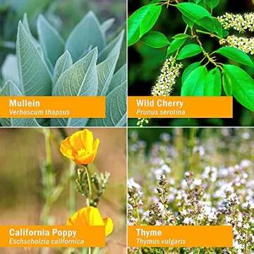 Herb Pharm Kids Organic Cough & Sinus Support Formula