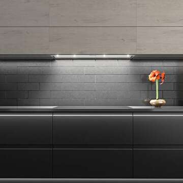 Futuro Futuro 42" Vent Hood | 940 CFM | Remote Control