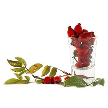 Molivera Organics 4oz Rosehip Oil for Radiant Skin - Cold Pressed Pure Rose Hip Seed Oil for Face & Body - Natural Moisturizer with Anti-Aging Benefits