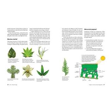 What's Wrong With My Plant? (And How Do I Fix It?): A Visual Guide to Easy Diagnosis and Organic Remedies (What’s Wrong Series)