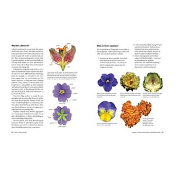 What's Wrong With My Plant? (And How Do I Fix It?): A Visual Guide to Easy Diagnosis and Organic Remedies (What’s Wrong Series)