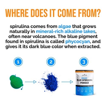 Organic Blue Spirulina Powder for Nutrient-Rich Smoothies