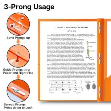 Dunwell Plastic 2 Pocket Folders with 3 Prongs, (6 Pack, Assorted Colors), 3-Clasp Folders with Fasteners, Tear-Resistant, Long Lasting Acid-Free Poly, Includes Labels