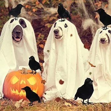 Dazzle Bright 6Pack Black Feathered Crows for Halloween Decoration