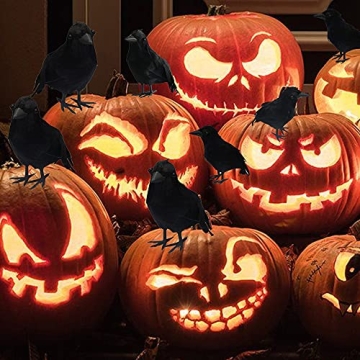 Dazzle Bright 6Pack Black Feathered Crows for Halloween Decoration