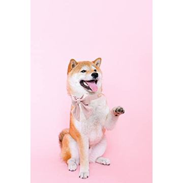 Stylish Adjustable Silk Collar with Bow for Pets