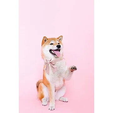 Stylish Adjustable Silk Collar with Bow for Pets