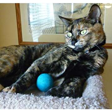 Wool Cat Balls - Safe Felt Toys for Playful Cats