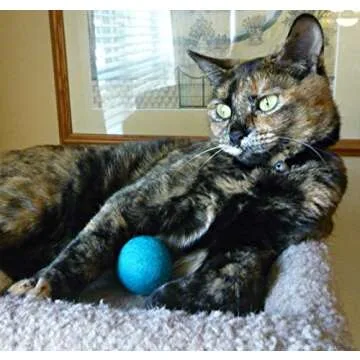 Wool Cat Balls - Safe Felt Toys for Playful Cats