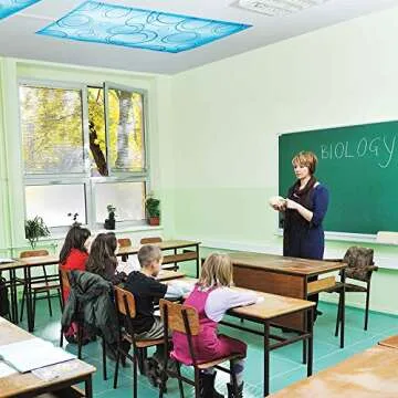 Easy Install Fluorescent Light Filters for Classroom Essentials