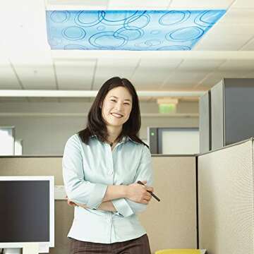 Easy Install Fluorescent Light Filters for Classroom Essentials