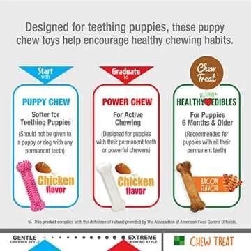 Nylabone Puppy Chew Toys & Natural Treat Triple Pack, Pink, Chicken & Bacon Flavor, Small - Up to 25 Ibs, 3 Pack