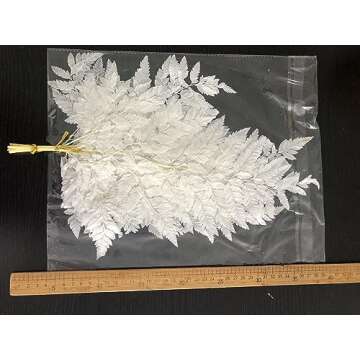 GHY Decor 10 Stems Dried Fern Leaves Real Natural Bleached White Fern Leaves - Fulfilled by Amazon