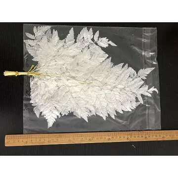 GHY Decor 10 Stems Dried Fern Leaves Real Natural Bleached White Fern Leaves - Fulfilled by Amazon