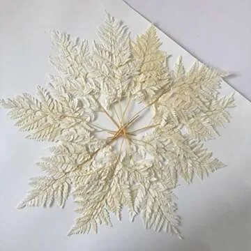 GHY Decor 10 Stems Dried Fern Leaves Real Natural Bleached White Fern Leaves - Fulfilled by Amazon