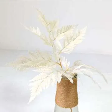 GHY Decor 10 Stems Dried Fern Leaves Real Natural Bleached White Fern Leaves - Fulfilled by Amazon