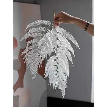GHY Decor 10 Stems Dried Fern Leaves Real Natural Bleached White Fern Leaves - Fulfilled by Amazon