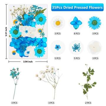 Dried Flowers 169Pcs Dried Pressed Flowers Leaves Natural Set with Butterfly Stickers and Tweezers for Resin Molds Candle Making Nails Jewelry DIY Crafts