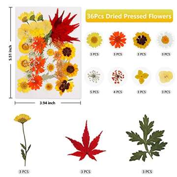 Dried Flowers 169Pcs Dried Pressed Flowers Leaves Natural Set with Butterfly Stickers and Tweezers for Resin Molds Candle Making Nails Jewelry DIY Crafts